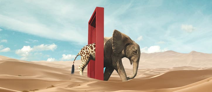 Freelancer und Agentur